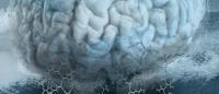 illustration of brain and tau molecules by Niki Barolini